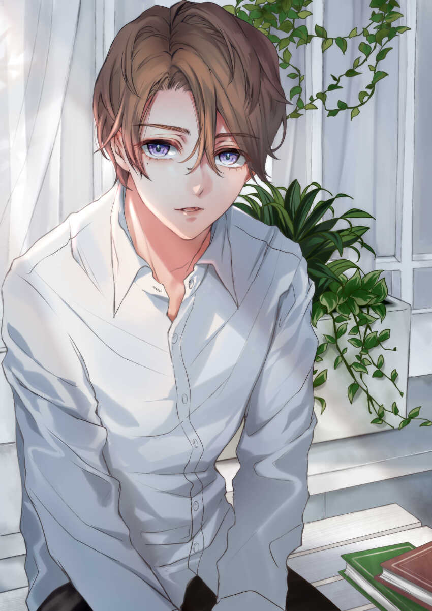 1boy, absurdres, banirario, bench, book, brown_hair, curtains, day, hair_between_eyes, highres, long_sleeves, looking_at_viewer, male_focus, mole, mole_under_eye, original, outdoors, plant, purple_eyes, shirt, sitting, white_shirt
