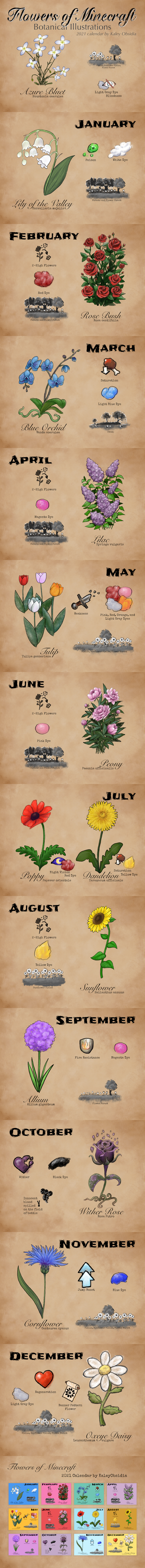 2021, absurdres, allium_(flower), animal, arrow_(symbol), artist_name, azure_bluet, blue_background