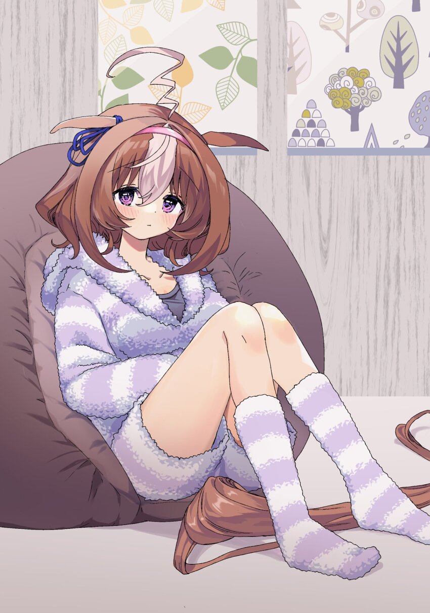 1girl, ahoge, alternate_costume, animal_ears, blue_ribbon, blush, brown_hair, ffr_new, hair_between_eyes, hair_ribbon, hairband, highres, horse_ears, horse_girl, horse_tail, long_sleeves, looking_at_viewer, meisho_doto_(umamusume), multicolored_hair, pink_hairband, purple_eyes, ribbon, short_hair, sitting, solo, tail, two-tone_hair, umamusume, white_hair