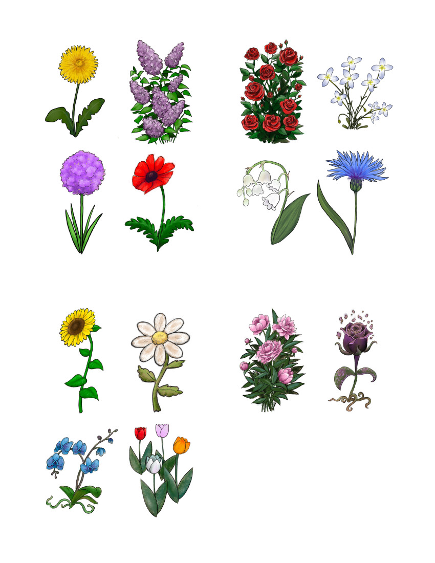 absurdres, allium_(flower), azure_bluet, blue_flower, commentary, cornflower, daisy_(flower), dandelion, english_commentary, flower, flower_focus, highres, kaleyobsidia, leaf, lilac, lily_of_the_valley, no_humans, orange_flower, orange_tulip, orchid, original, peony_(flower), pink_flower, pink_tulip, plant, poppy_(flower), purple_flower, purple_rose, red_flower, red_rose, red_tulip, rose, simple_background, still_life, sunflower, tulip, white_background, white_flower, white_tulip, yellow_flower