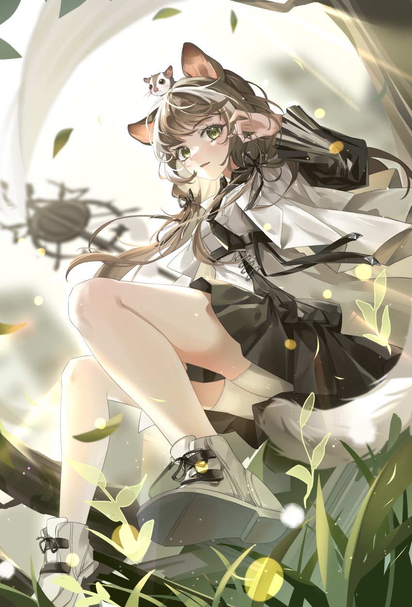 1girl, absurdres, animal, animal_ears, animal_on_head, arknights, black_dress, black_ribbon, brown_hair, commentary, dress, fingernails, floating_hair, grass, green_eyes, hair_ribbon, hand_in_own_hair, hand_up, highres, holding, holding_staff, honeyberry_(arknights), honeyberry_(wildness_behind)_(arknights), layered_dress, long_hair, long_sleeves, looking_at_viewer, multicolored_hair, official_alternate_costume, on_head, parted_lips, pdiga, ribbon, shoes, shorts, squirrel, squirrel_ears, squirrel_tail, staff, streaked_hair, untranslatable_commentary, tail, white_dress, white_footwear, white_hair, white_shorts