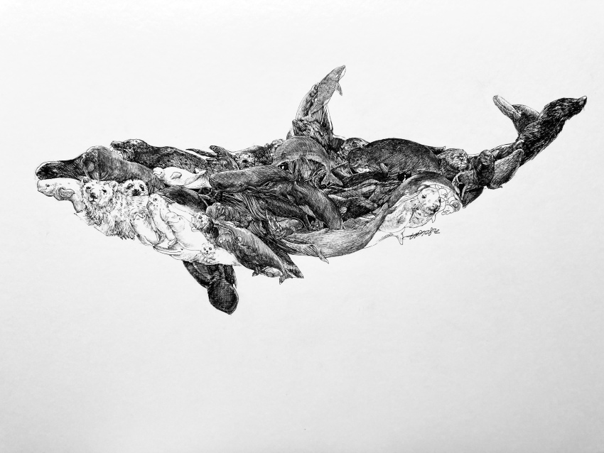 b7282e, absurdres, animal_focus, artist_name, bear, blue_whale, dolphin, dugong