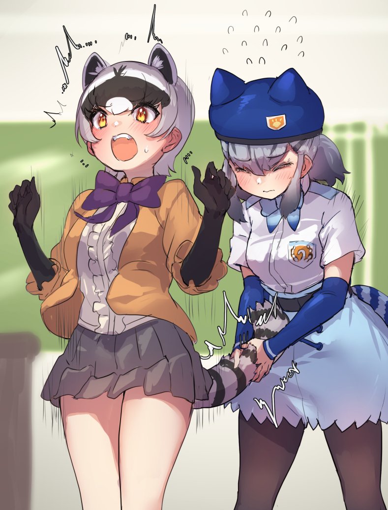 2girls, animal_ears, beret, black_gloves, black_pantyhose, blue_bow, blue_bowtie, blue_headwear, blue_skirt, blue_sleeves, blush, bow, bowtie, center_frills, commentary_request, cowboy_shot, crab-eating_raccoon_(kemono_friends), detached_sleeves, elbow_gloves, extra_ears, frilled_skirt, frills, gloves, grey_hair, grey_skirt, hat, high-waist_skirt, hikari_(kemono_friends), jacket, japari_symbol, kemono_friends, kemono_friends_3, long_sleeves, multicolored_hair, multiple_girls, open_clothes, open_jacket, open_mouth, orange_eyes, orange_jacket, pantyhose, pleated_skirt, puffy_sleeves, purple_bow, purple_bowtie, raccoon_ears, raccoon_girl, raccoon_tail, safari_jacket, shirt, short_hair, short_sleeves, skirt, sweatdrop, t-shirt, tadano_magu, tail, tail_grab, two-tone_hair, white_shirt