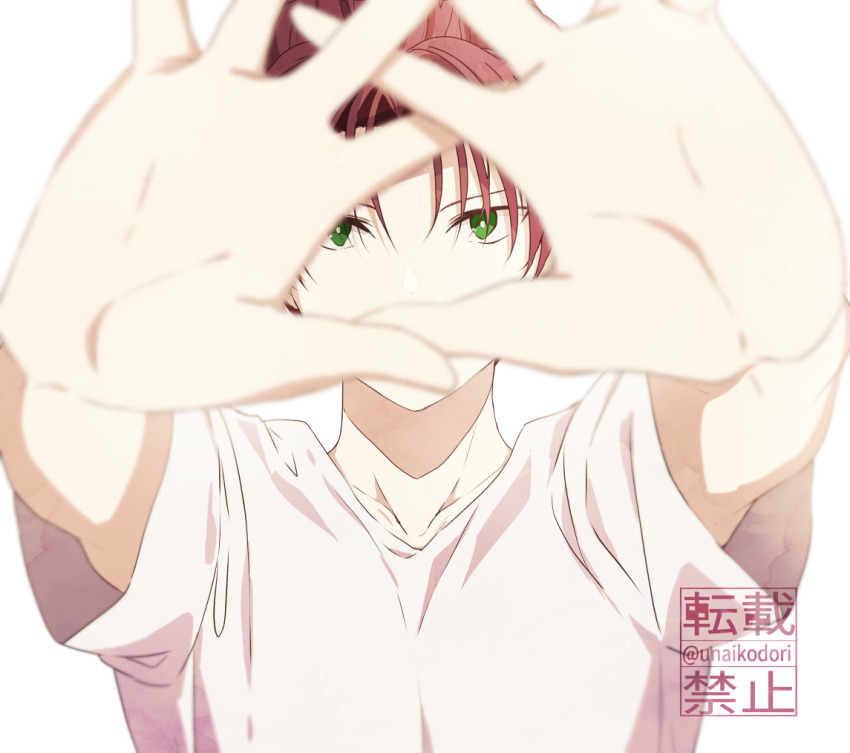 1boy, covered_mouth, green_eyes, idolmaster, idolmaster_side-m, idolmaster_side-m_growing_stars, kame_(unaikodori), looking_at_viewer