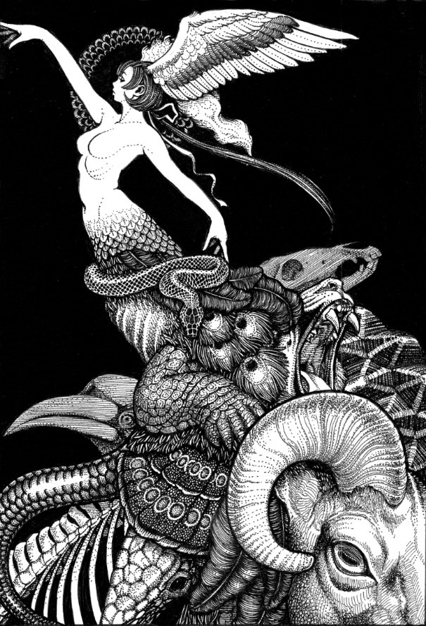 1girl, animal_skull, arm_up, armadillo, bird, bird_wings, black_background, bone