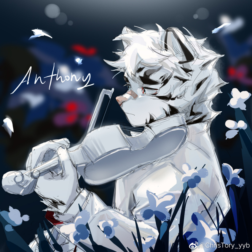 1boy, aged_down, animal_ears, arknights, bandaid, bandaid_on_face, bandaid_on_nose, blurry