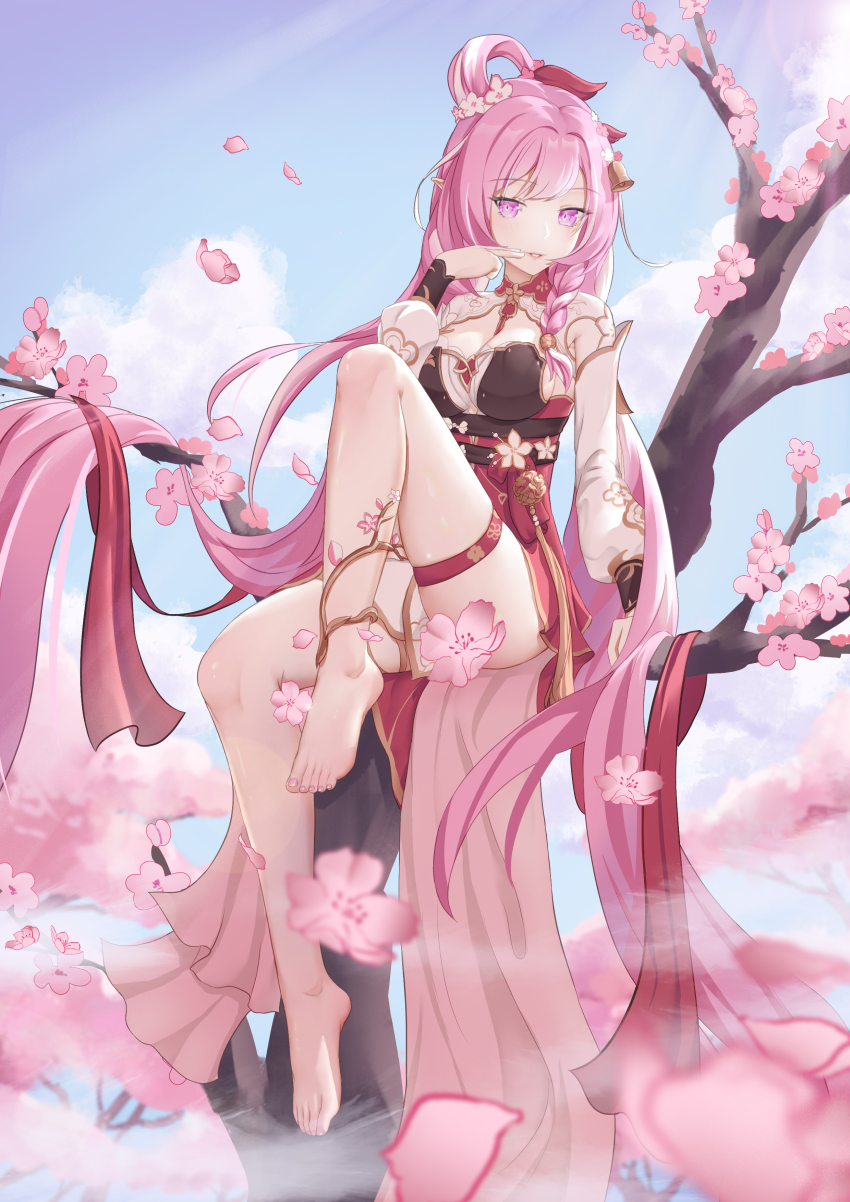 1girl, absurdres, barefoot, cherry_blossoms, elysia_(herrscher_of_human:_ego)_(honkai_impact), elysia_(honkai_impact), elysia_(peachy_spring)_(honkai_impact), feet