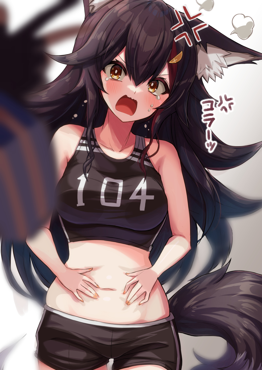 absurdres, animal_ear_fluff, animal_ears, black_hair, black_shorts, breasts, cowboy_shot, crop_top