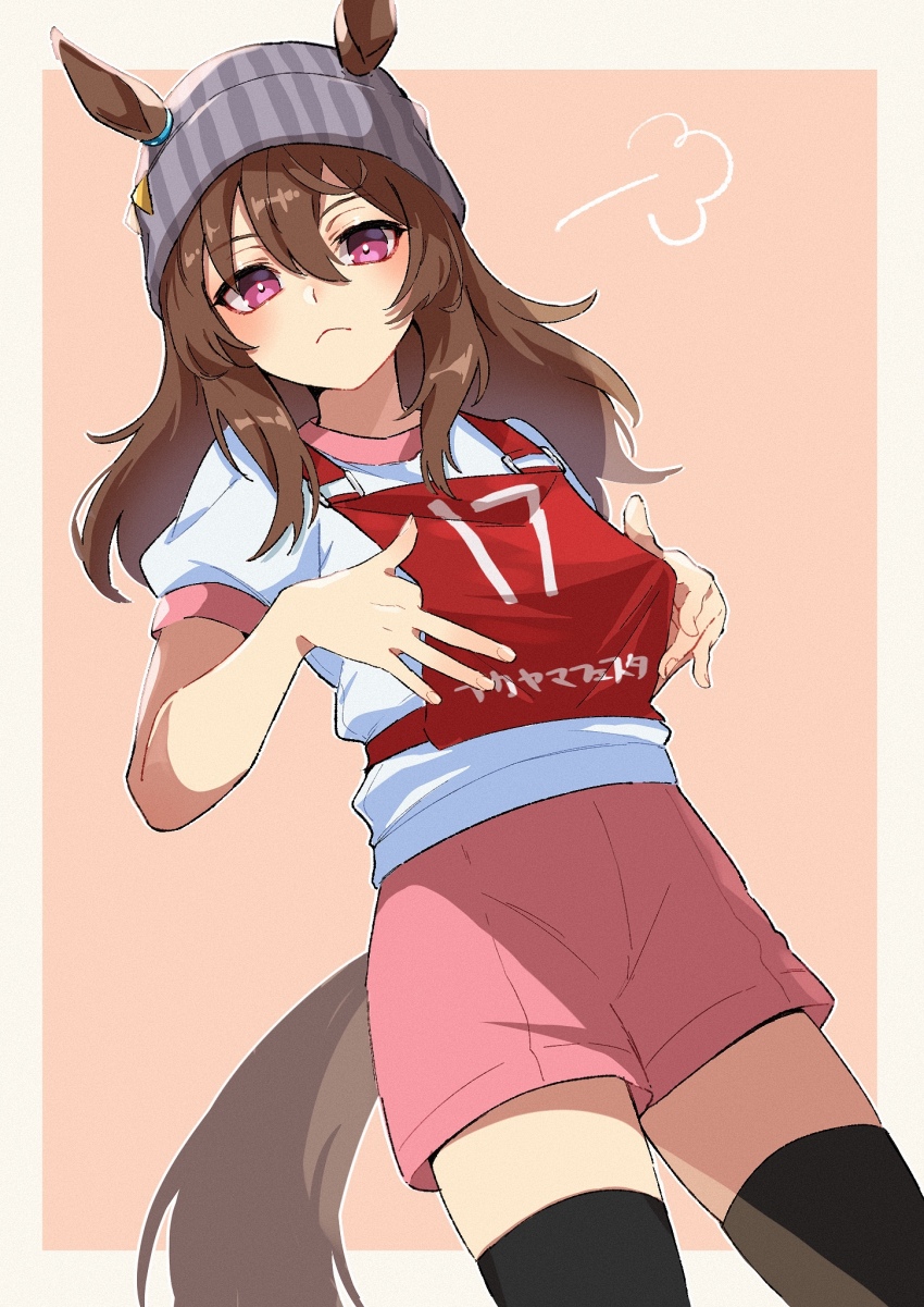 1girl, animal_ears, beanie, black_thighhighs, border, bright_pupils, brown_hair, closed_mouth