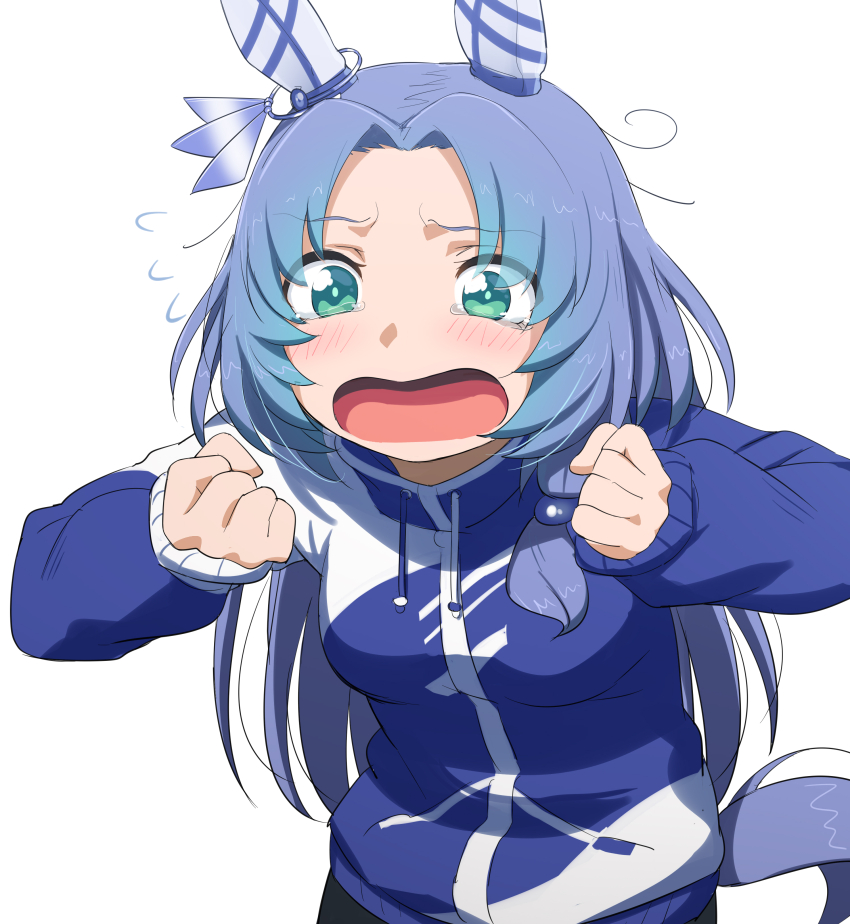 1girl, abmayo, absurdres, animal_ears, aqua_hair, blue_hair, blue_jacket, blush