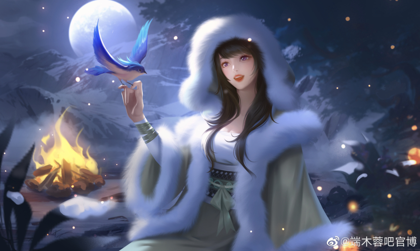 1girl, absurdres, artist_request, bird, brown_hair, coat, duanmu_rong_(qin_shi_ming_yue), fire