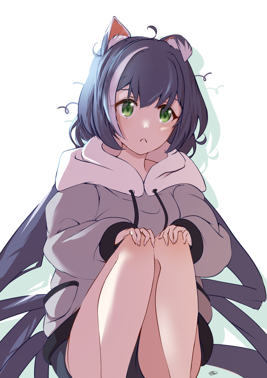 1girl, absurdres, ahoge, animal_ear_fluff, animal_ears, coat, commentary_request, drawstring