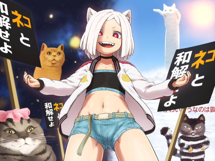 1girl, :d, animal, animal_ears, cat, cat_ears, character_request, christ_signboard, commentary_request, eyes_visible_through_hair, flat_chest, jacket, kaii_to_otome_to_kamikakushi, letterman_jacket, longcat_(meme), meme, midriff, navel, open_mouth, red_eyes, sharp_teeth, shirosato, short_hair, short_shorts, shorts, sign, smile, space_cat_(meme), teeth, translation_request, white_hair