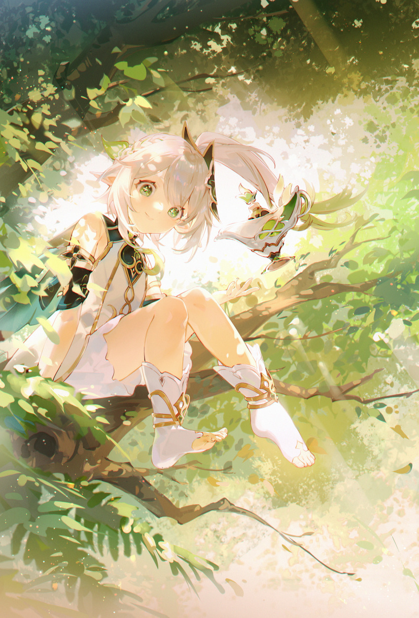 1girl, absurdres, bloomers, child, commentary_request, cross-shaped_pupils, dress, full_body, genshin_impact, green_eyes, hair_ornament, highres, in_tree, kaekaeki, leaf_hair_ornament, nahida_(genshin_impact), outdoors, pointy_ears, side_ponytail, sitting, sitting_in_tree, smile, solo, stirrup_footwear, sunlight, symbol-shaped_pupils, toeless_footwear, toeless_legwear, tree, underwear, white_bloomers, white_dress, white_hair