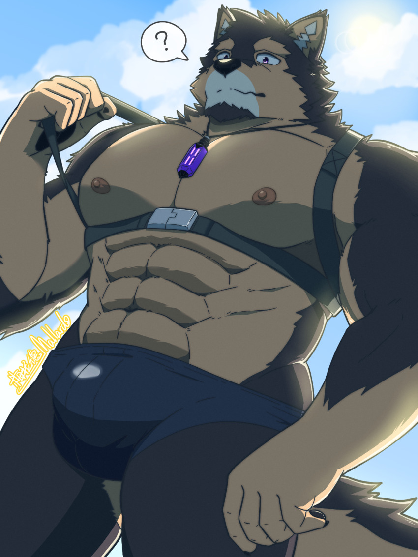 1boy, ?, abs, alternate_costume, animal_ears, bara, blue_male_swimwear, brown_fur