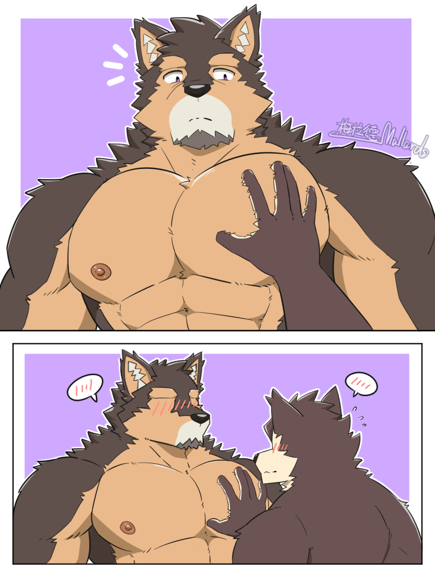 2boys, abs, animal_ears, bara, blush, brown_fur, completely_nude, couple, dog_boy, dog_ears, facial_hair, furry, furry_male, furry_with_furry, goatee, groping, highres, large_pectorals, live_a_hero, male_focus, male_protagonist_(live_a_hero), mallards, meme, multiple_boys, muscular, muscular_male, nipples, no_eyes, nude, pectoral_grab_(sibi2028), pectorals, pubraseer_(live_a_hero), short_hair, spoken_blush, stomach, thick_eyebrows, two-tone_fur, yaoi