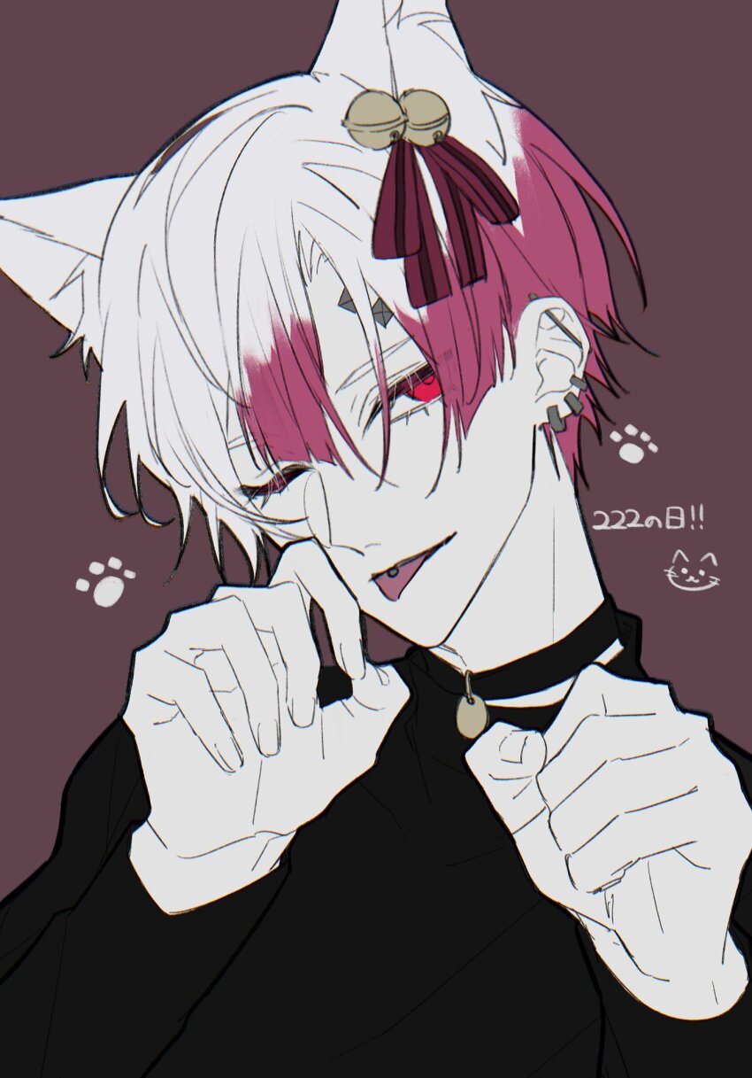 1boy, akuma_shitsuji_to_kuroi_neko, ammon_lead, animal_ears, black_collar, black_shirt, cat_boy, cat_day