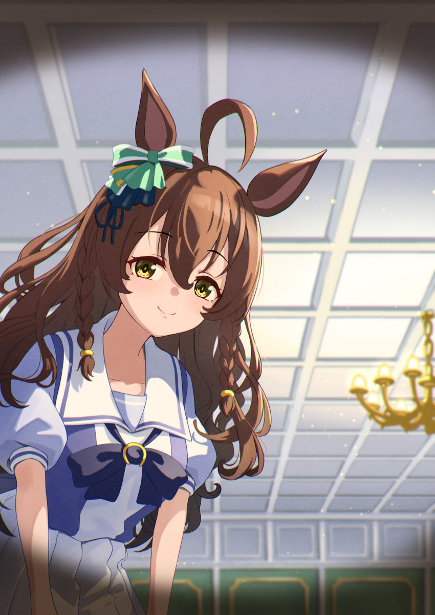 1girl, ahoge, animal_ears, blue_eyes, blurry, blurry_background, braid, breasts