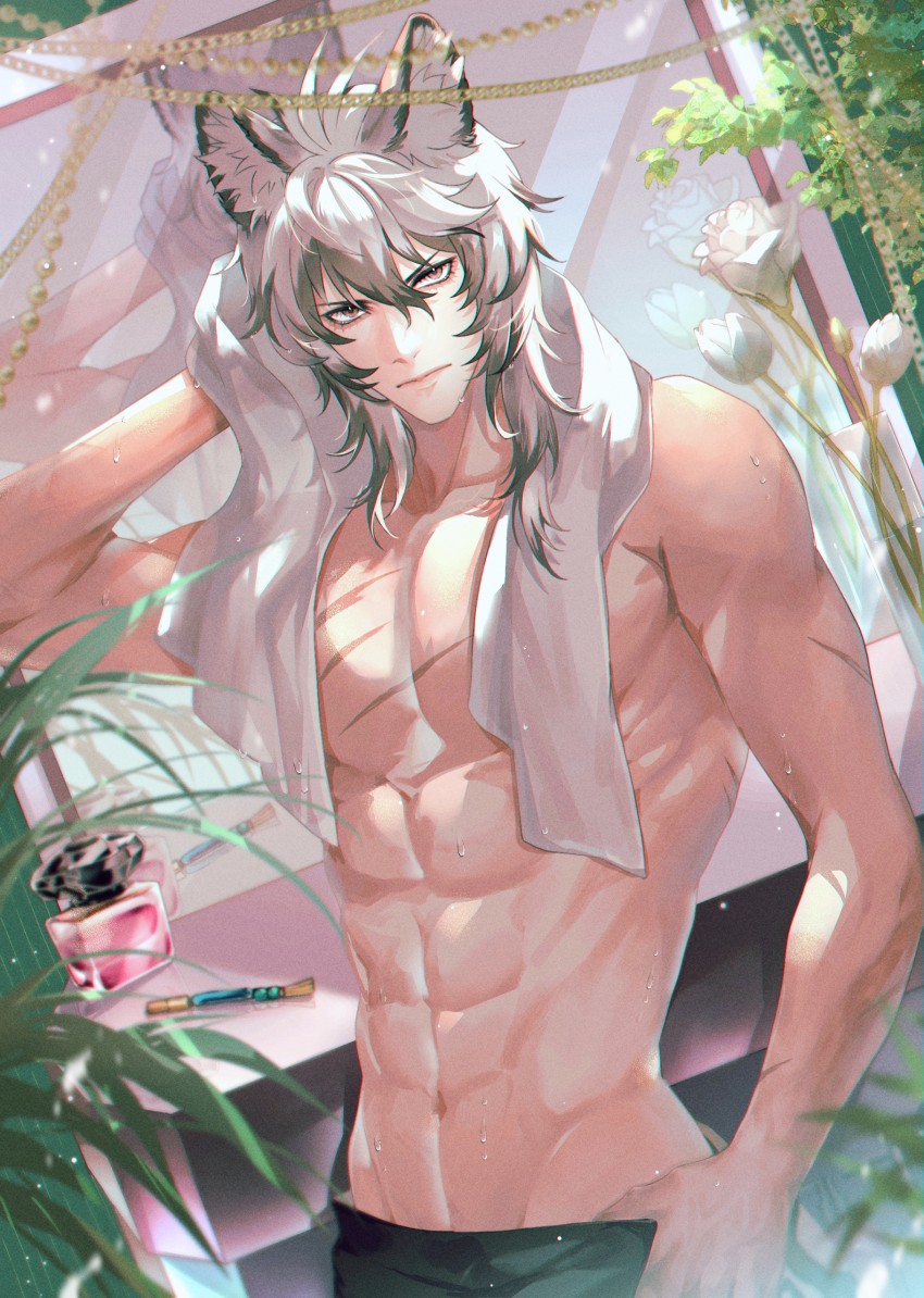 1boy, absurdres, animal_ear_fluff, animal_ears, arknights, arm_behind_head, black_shorts, bottle, chinese_commentary, closed_mouth, commentary_request, desk, flower, gradient_hair, grey_eyes, grey_hair, hand_up, highres, holding, holding_towel, lips, looking_at_viewer, makeup_brush, male_focus, medium_hair, mirror, multicolored_hair, muscular, muscular_male, perfume_bottle, plant, rose, scar, scar_on_arm, scar_on_chest, shengyue, shorts, silverash_(arknights), snow_leopard_boy, snow_leopard_ears, solo, topless_male, towel, upper_body, v-shaped_eyebrows, wet, white_flower, white_rose