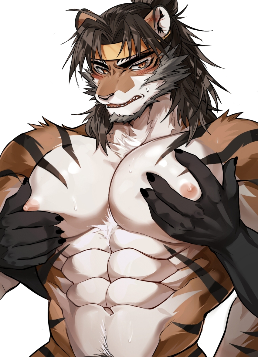 2boys, abs, animal_ears, ao_(chung0u0), arknights, bara, beard, blush, facial_hair, furry, furry_male, headband, highres, huai_tianpei_(arknights), large_pectorals, long_hair, male_focus, mature_male, multiple_boys, muscular, muscular_male, navel, navel_hair, nipples, pectoral_focus, pectoral_grab, pectorals, short_hair, solo_focus, stomach, sweatdrop, thick_eyebrows, tiger_boy, tiger_ears, upper_body, yaoi