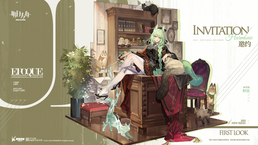 1girl, :q, animal_ears, arknights, book, bookshelf, braid, cat