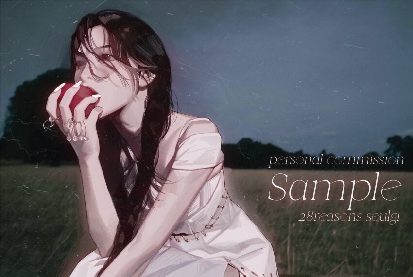 1girl, absurdres, apple, black_hair, blush, braid, brown_eyes, character_name