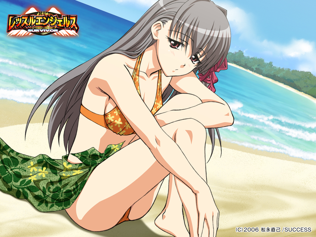 1girl, beach, bikini, breasts, brown_eyes, day, female_focus, frown