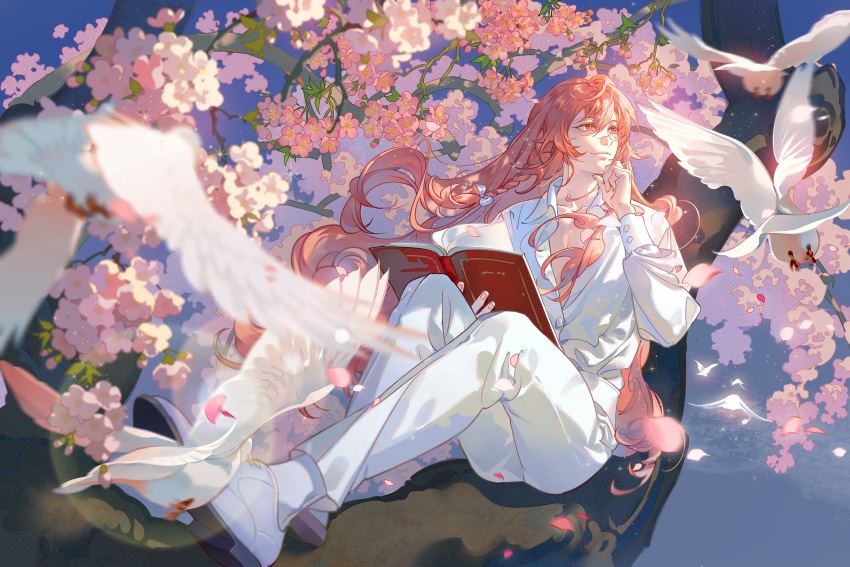 1boy, bird, bishounen, blurry, blurry_foreground, book, braid, branch