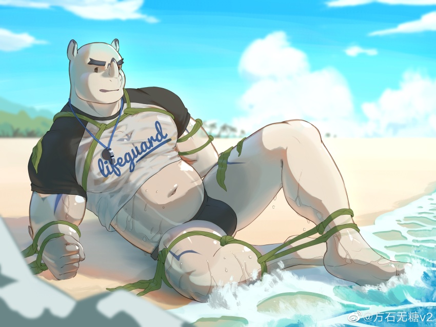 1boy, absurdres, algae, bald, bara, beach, belly, black_male_swimwear