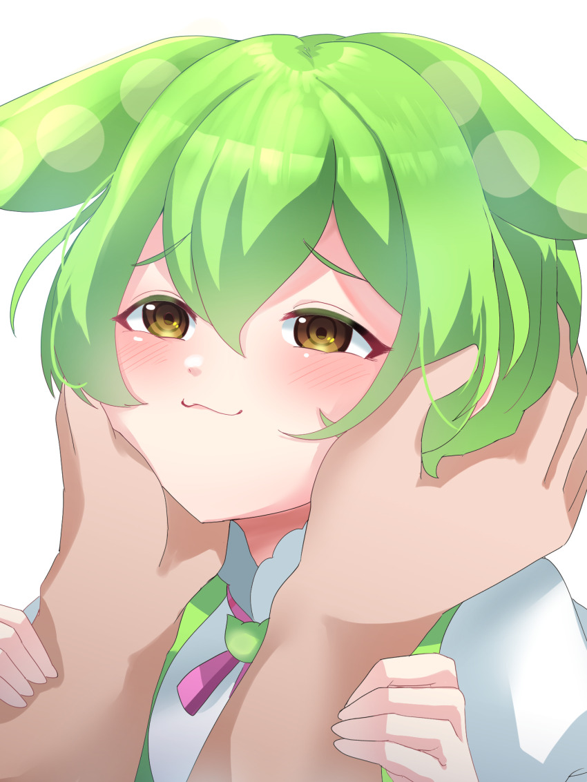 1girl, :3, animal_ears, blush, close-up, closed_mouth, hair_between_eyes, hands_on_another's_cheeks, hands_on_another's_face, highres, kuru_bushi, looking_away, medium_hair, out_of_frame, simple_background, solo_focus, voicevox, white_background, yellow_eyes, zundamon