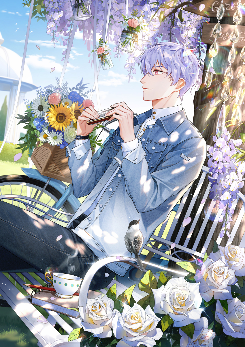 1boy, absurdres, baby's-breath, basket, bench, bicycle, bicycle_basket, bird