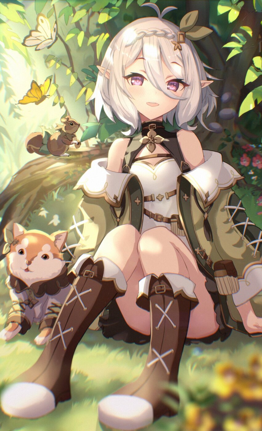 1girl, boots, braid, bug, butterfly, dog, female_focus, flower