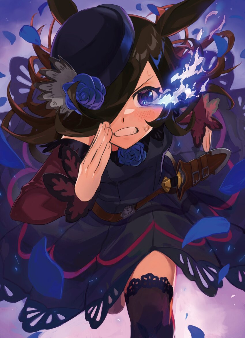 1girl, absurdres, animal_ears, belt, black_dress, black_thighhighs, blue_flower, blue_rose