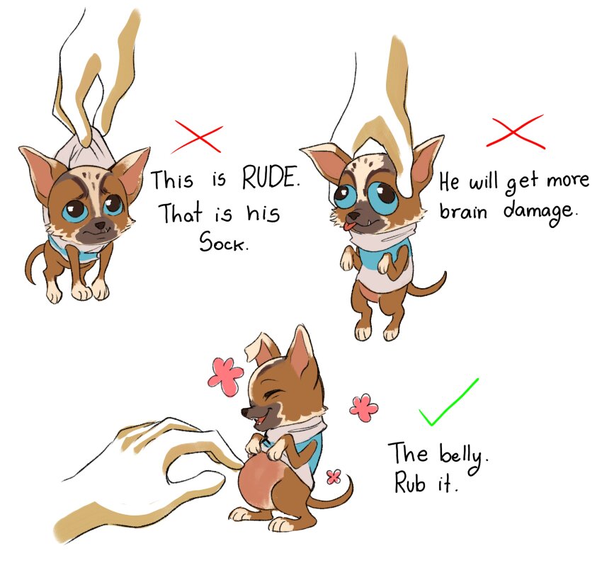 1boy, absurdres, aqua_eyes, body_fur, brown_fur, checkmark, disembodied_hand, dog, english_text, flower, highres, how_to_hold_x_(meme), looking_at_viewer, male_focus, meme, perrito_(puss_in_boots), pink_flower, puss_in_boots:_the_last_wish, shrek_(series), tintatoon