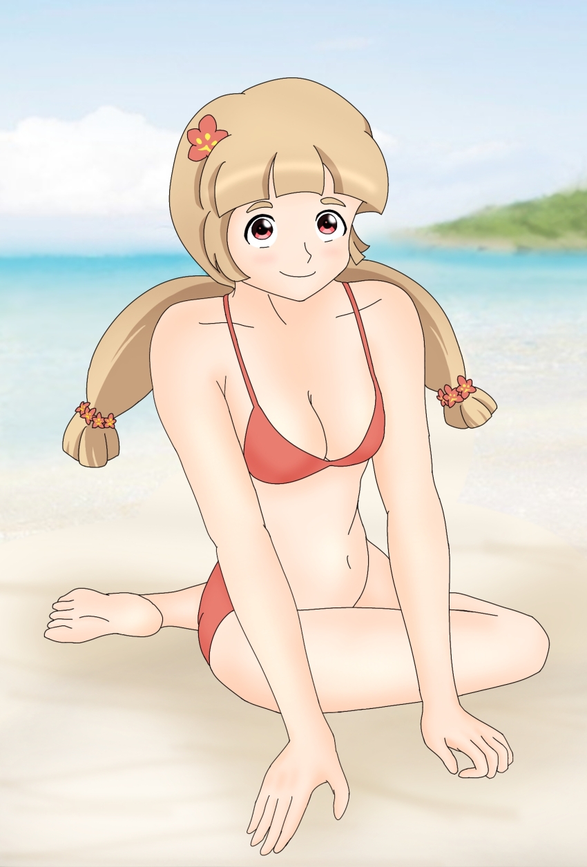1girl, bikini, blue_sky, brown_hair, highres, horizon, mito-tan, red_bikini