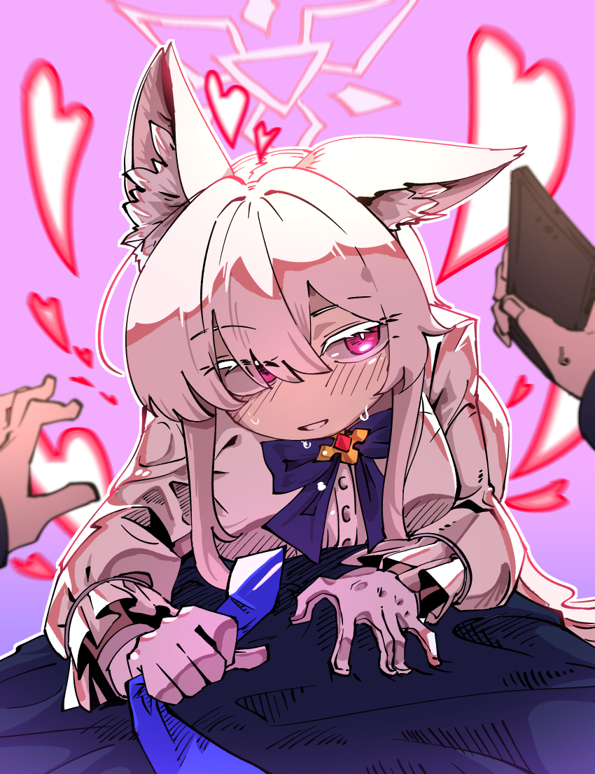 1boy, 1girl, akira_(blue_archive), animal_ear_fluff, animal_ears, blue_archive, blue_bow, blue_bowtie, blue_necktie, blush, bow, bowtie, brooch, cat_ears, cellphone, clothes_grab, colored_eyelashes, geonbanmaen, gloves, halo, heart, hetero, highres, holding, holding_phone, jewelry, long_hair, necktie, necktie_grab, neckwear_grab, phone, photoshop_(medium), pov, red_eyes, sensei_(blue_archive), shirt, smartphone, sweat, white_gloves, white_hair, white_shirt
