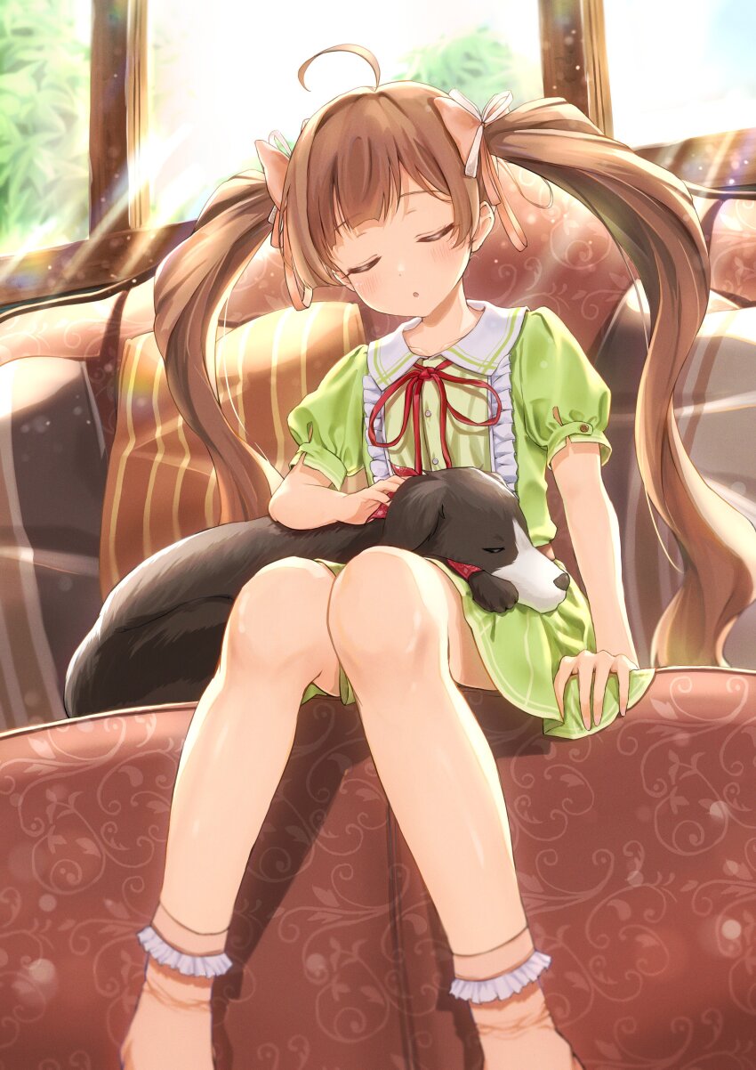 1girl, absurdres, ahoge, animal, border_collie, brown_hair, closed_eyes, commentary_request