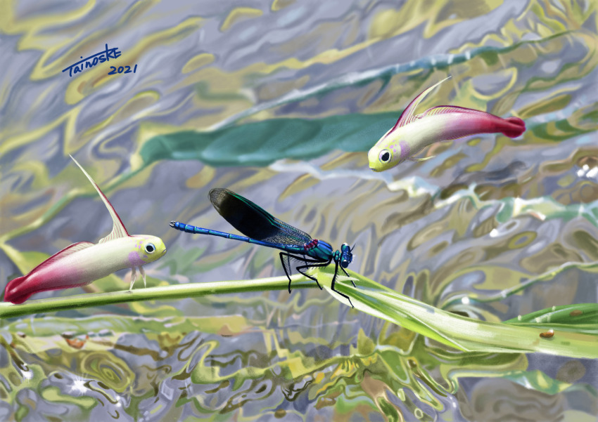 absurdres, animal_focus, branch, bug, dated, dragonfly, fish, floating, goby_(fish), highres, insect, no_humans, original, refraction, signature, tainosuke, wings