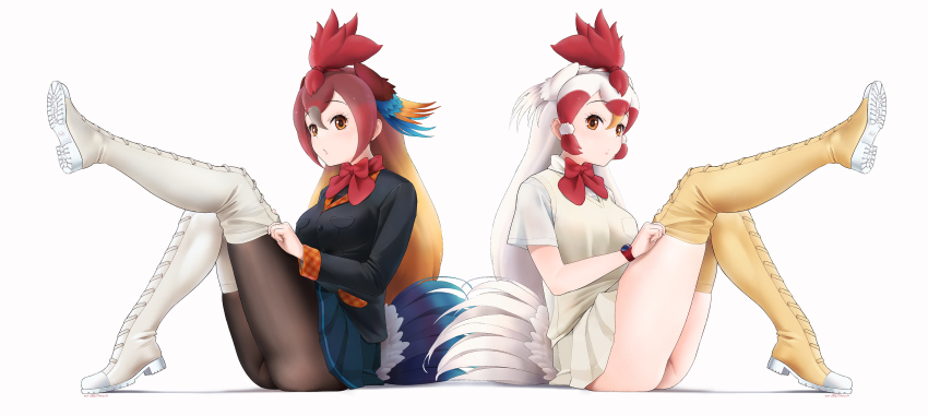 absurdres, adjusting_footwear, beleven, bird_girl, bird_tail, bird_wings, black_jacket, black_pantyhose