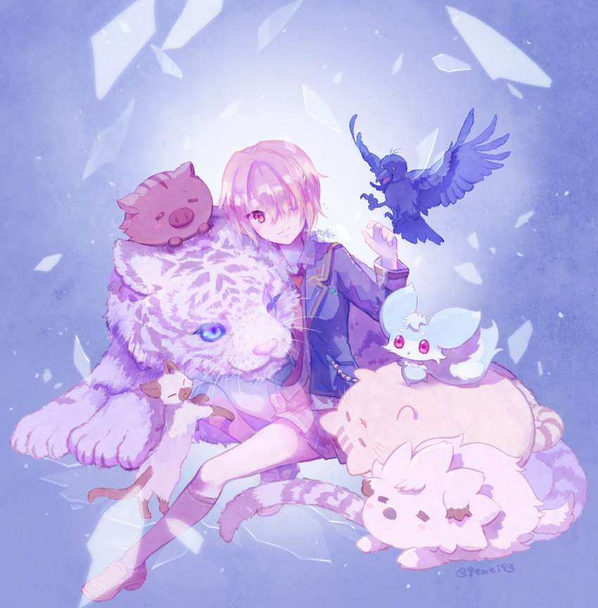 animal, blue_eyes, blue_jacket, byakko_(heaven_burns_red), company_connection, crossover, heaven_burns_red, highres