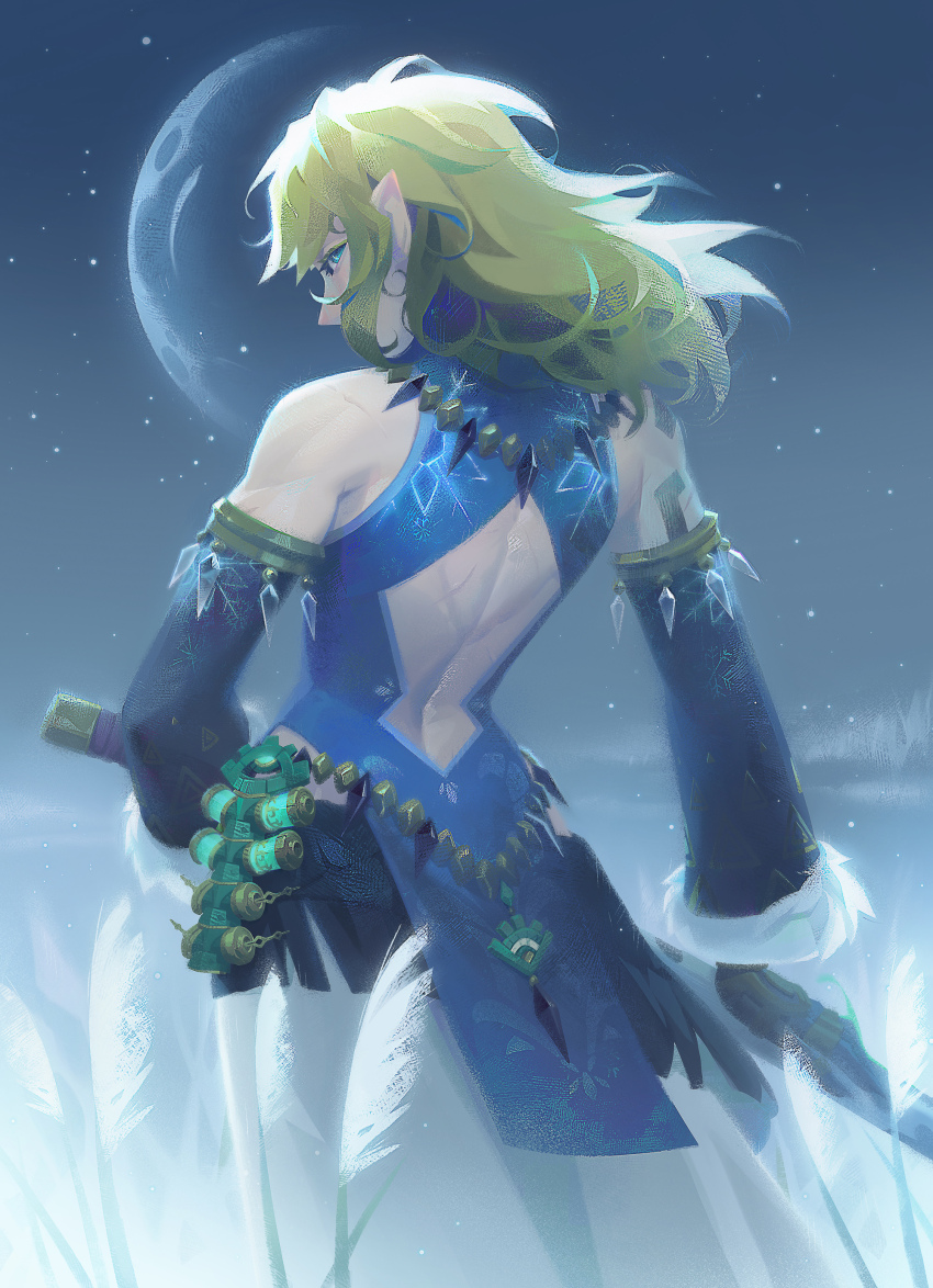 1boy, absurdres, back, back_cutout, blonde_hair, clothing_cutout, detached_sleeves, from_behind, frostbite_set_(zelda), fur_trim, highres, link, looking_at_viewer, looking_back, moon, night, nintendo, official_alternate_costume, pointy_ears, sasha_tudvaseva, solo, standing, sword, the_legend_of_zelda, the_legend_of_zelda:_tears_of_the_kingdom, weapon, wheat_field