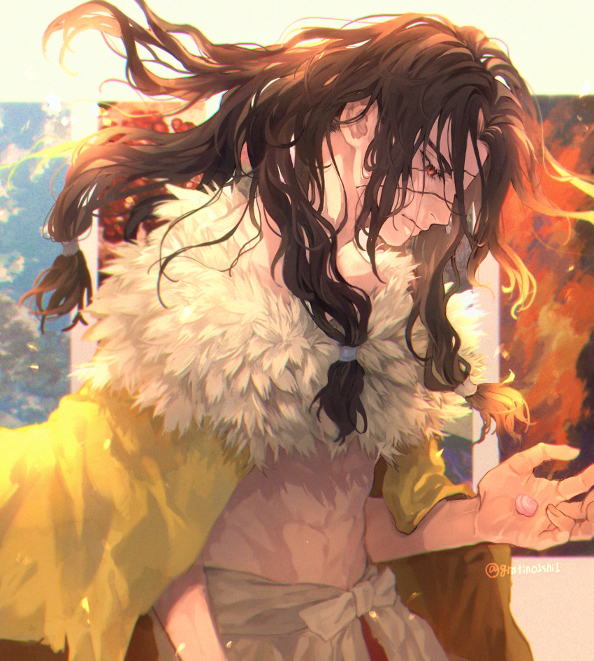 1boy, black_hair, cape, closed_mouth, cowboy_shot, dr._stone, fur_trim, highres