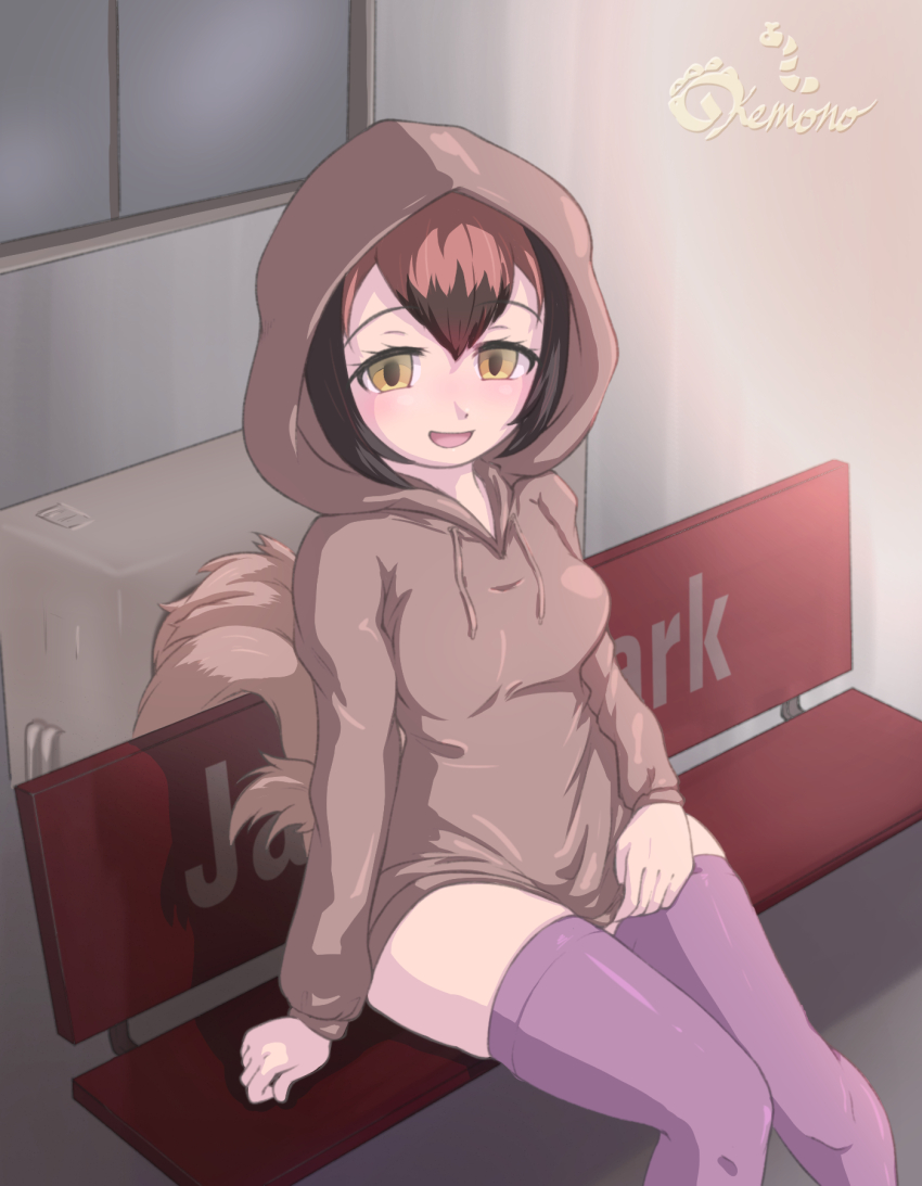 1girl, bench, bird_tail, black_hair, breasts, brown_hair, brown_jacket, dodo_(kemono_friends)