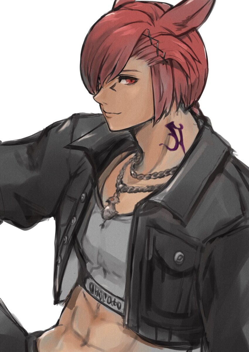 1boy, abs, animal_ears, braid, braided_ponytail, cat_boy, cat_ears, crop_top