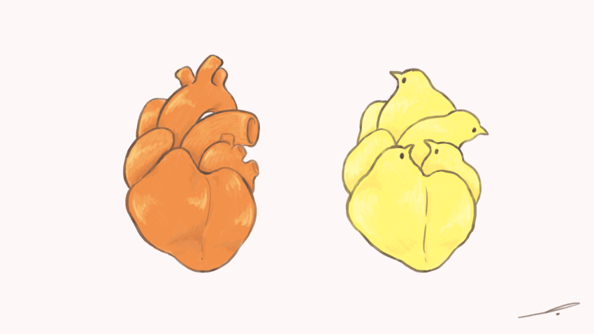 animal_focus, bird, dated_commentary, grey_background, heart_(organ), highres, no_humans, organs, original, signature, simple_background, terao_(omelettera)