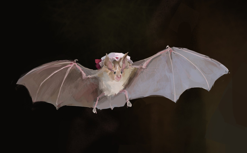 animal, animalization, bat_(animal), bat_wings, hat, hat_ribbon, highres, mob_cap