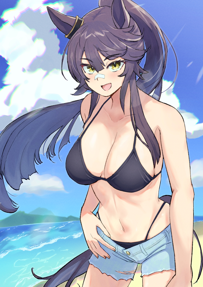 1girl, alternate_costume, animal_ears, bandaid, bandaid_on_face, bandaid_on_nose, bare_shoulders, beach