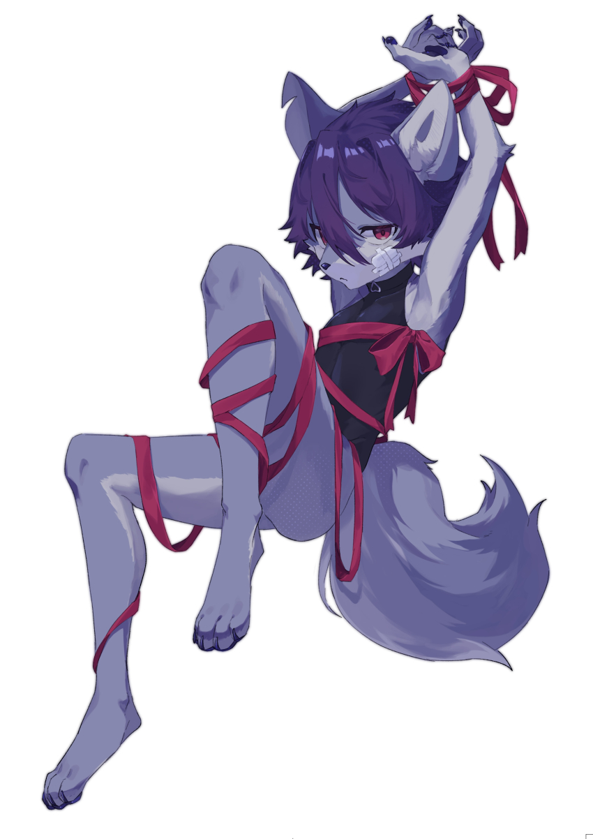 1boy, absurdres, bandage_on_face, bandages, bottomless, closed_mouth, commentary_request, furry, furry_male, gift_wrapping, hair_between_eyes, highres, katamuki, looking_at_viewer, male_focus, original, red_eyes, red_ribbon, ribbon, shota, simple_background, solo, tail, white_background, wolf_boy