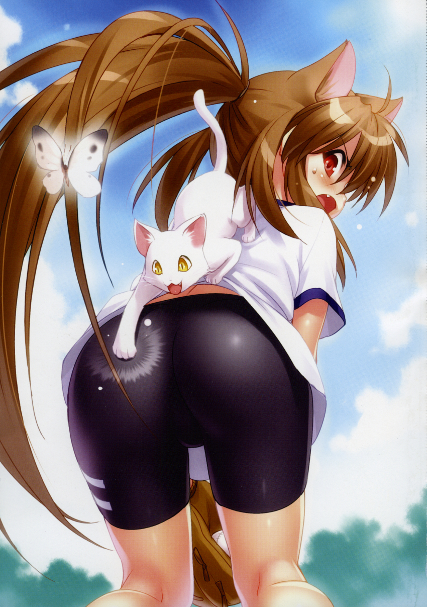 1girl, absurdres, ahoge, angry, animal_ears, ass, ball, baseball, baseball_(object), baseball_glove, bike_shorts, blush, brown_hair, bug, butterfly, cat, cat_ears, cowboy_shot, day, fang, from_behind, gym_uniform, hair_between_eyes, highres, insect, lennon_(little_busters!), little_busters!, long_hair, looking_back, natsume_rin, open_mouth, outdoors, photoshop_(medium), ponytail, profile, red_eyes, scan, shiny_clothes, shirt, short_sleeves, sidelocks, spanking, standing, sweatdrop, v-shaped_eyebrows, very_long_hair, white_butterfly, white_shirt, yellow_eyes, zen_(kamuro)