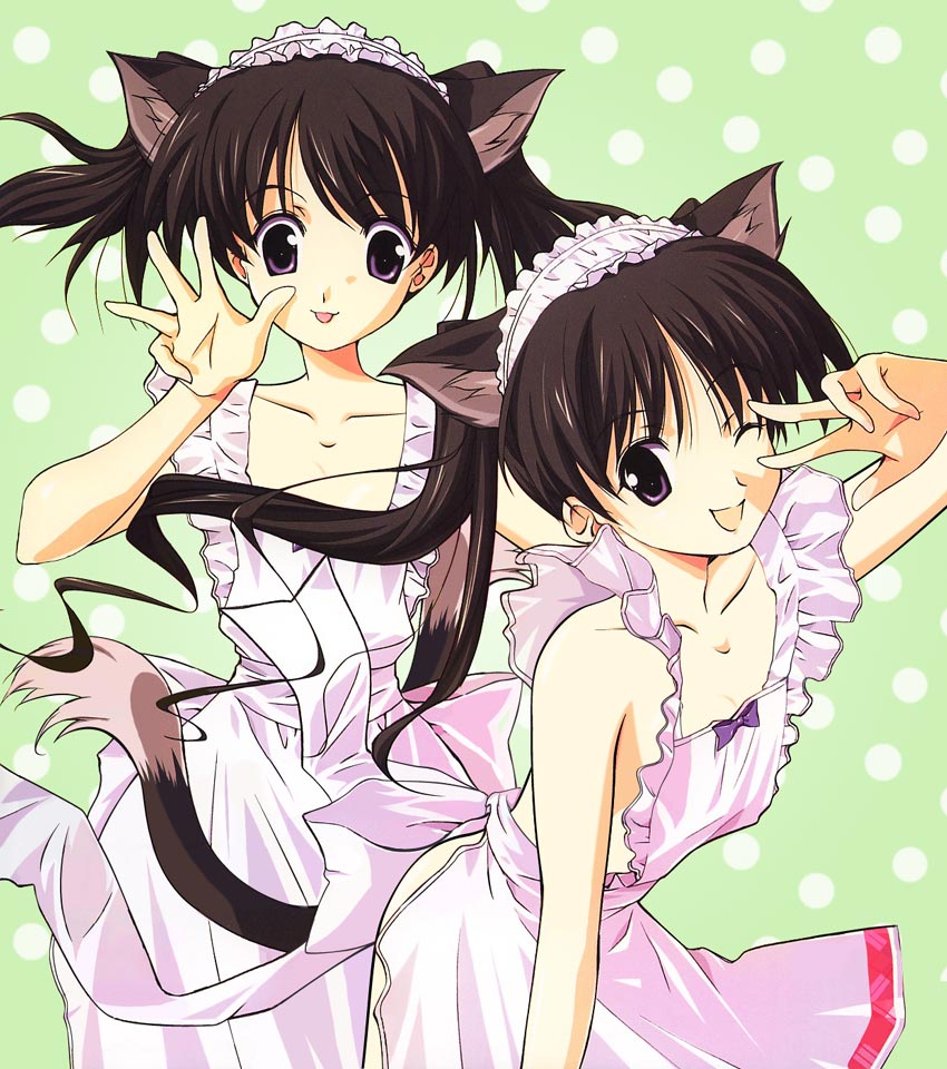 00s, 2girls, animal_ears, apron, brown_hair, cat_ears, cat_tail, futakoi